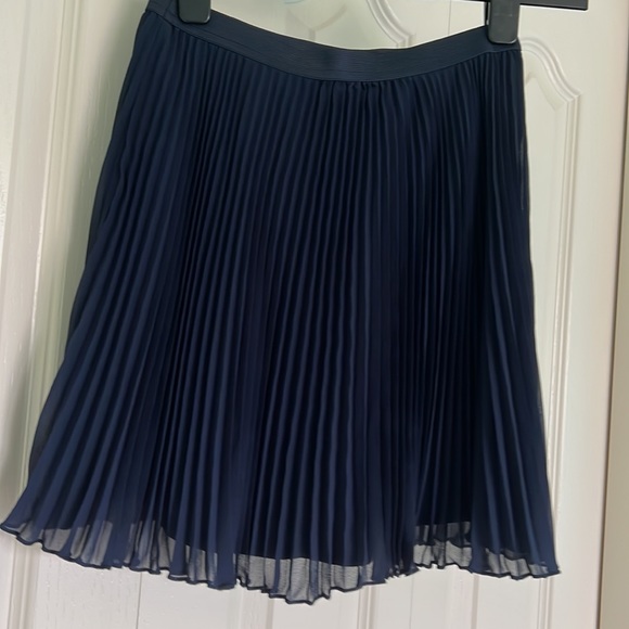 Navy Ruffled Skirt - Picture 3 of 4